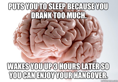 Puts you to sleep because you drank too much Lets spend the - Scumbag Brain
