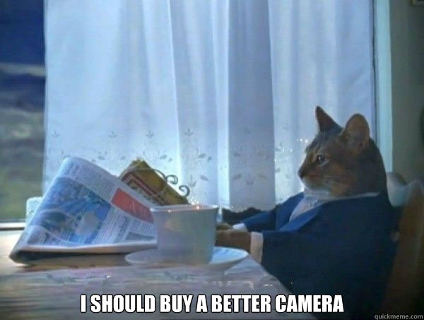 i should buy a better camera - morning realization newspaper cat meme