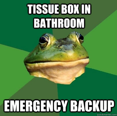 tissue box in bathroom emergency backup - Foul Bachelor Frog
