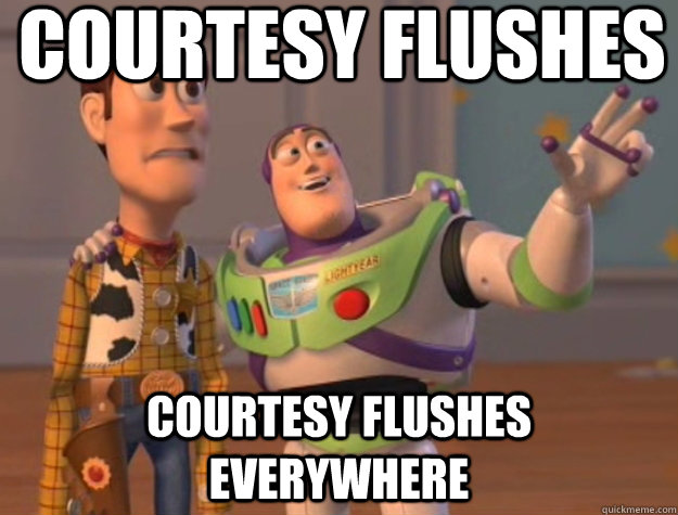 courtesy flushes courtesy flushes everywhere - Buzz Lightyear