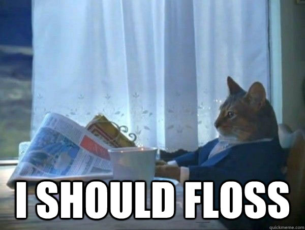 i should floss - morning realization newspaper cat meme