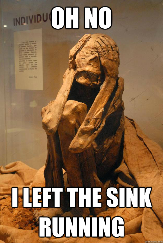 oh no i left the sink running -