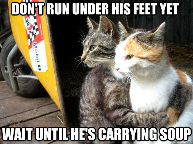 dont run under his feet yet wait until hes carrying soup - Restraining Cat