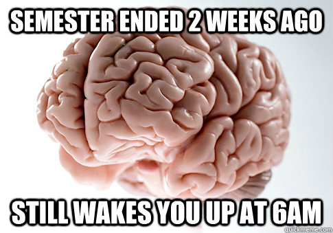 semester ended 2 weeks ago still wakes you up at 6am - Scumbag Brain