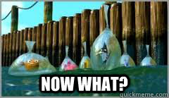 now what - Now What