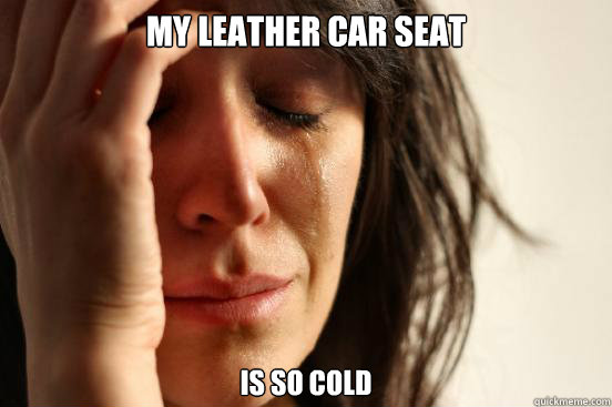 my leather car seat is so cold - First World Problems