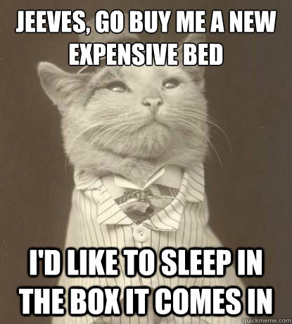 jeeves go buy me a new expensive bed id like to sleep in - Aristocat