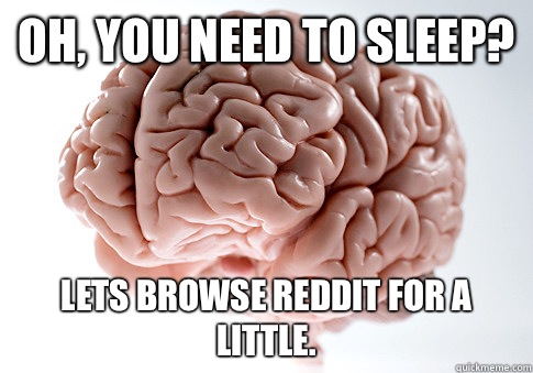 Oh you need to sleep Lets browse reddit for a little - Scumbag Brain