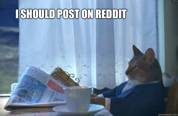 I should post on reddit - Sophisticated Cat