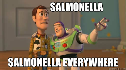 salmonella salmonella everywhere - Everywhere