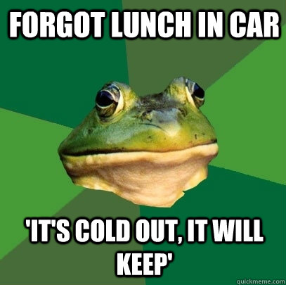 forgot lunch in car its cold out it will keep - Foul Bachelor Frog