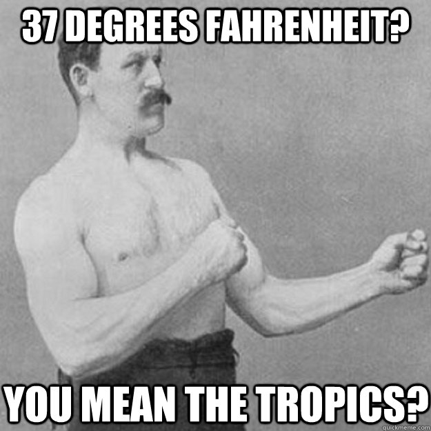 37 degrees fahrenheit you mean the tropics - overly manly man