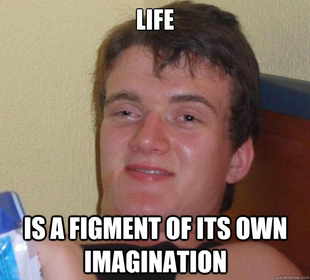life is a figment of its own imagination - 10 Guy