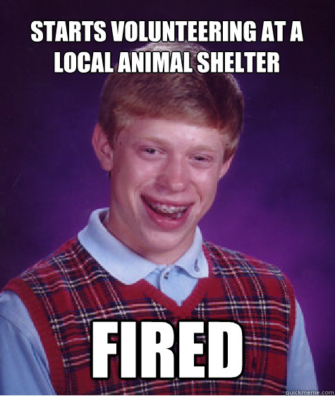 starts volunteering at a local animal shelter fired - Bad Luck Brian