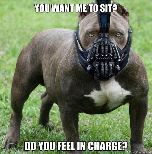 you want me to sit do you feel in charge - 