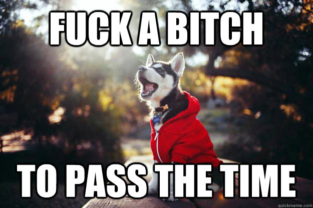 fuck a bitch to pass the time - gambino husky