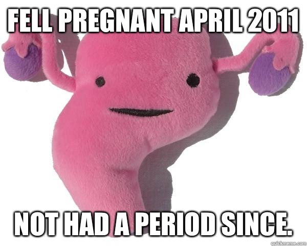 Fell pregnant April 2011 Not had a period since - Good Guy Uterus