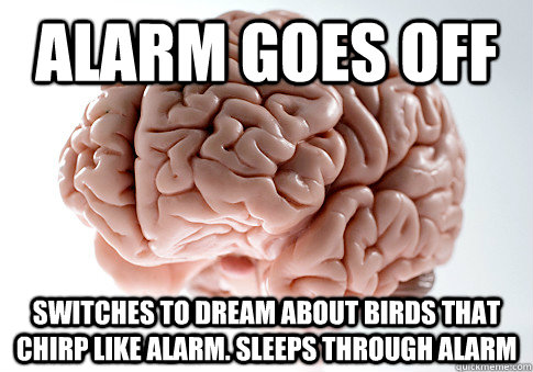 alarm goes off switches to dream about birds that chirp like - Scumbag Brain