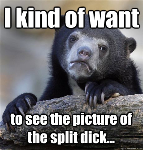 i kind of want to see the picture of the split dick - Confession Bear