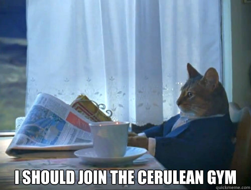 i should join the cerulean gym - The One Percent Cat
