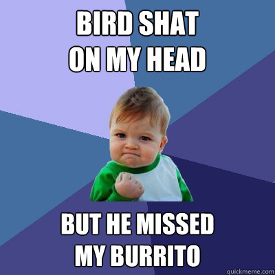 bird shat on my head but he missed my burrito - Success Kid