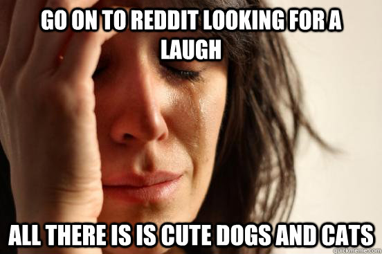 go on to reddit looking for a laugh all there is is cute dog - First World Problems