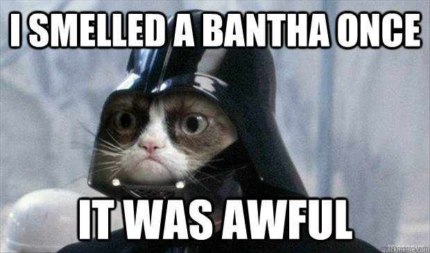 i smelled a bantha once it was awful - Grumpy Vader