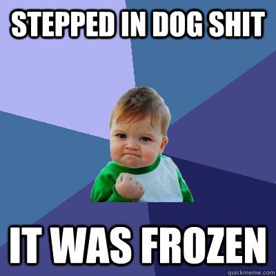 stepped in dog shit it was frozen - Success Kid