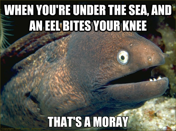 when youre under the sea and an eel bites your knee thats - Bad Joke Eel