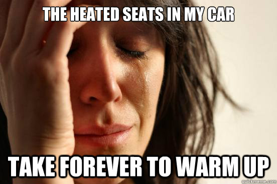 the heated seats in my car take forever to warm up - First World Problems