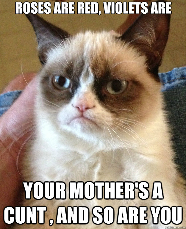 roses are red violets are your mothers a cunt and so are - Grumpy Cat