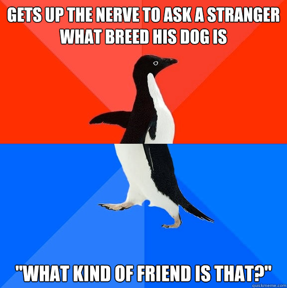 gets up the nerve to ask a stranger what breed his dog is w - Socially Awesome Awkward Penguin
