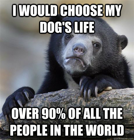 i would choose my dogs life over 90 of all the people in t - Confession Bear