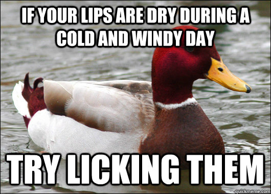 if your lips are dry during a cold and windy day try licking - Malicious Advice Mallard