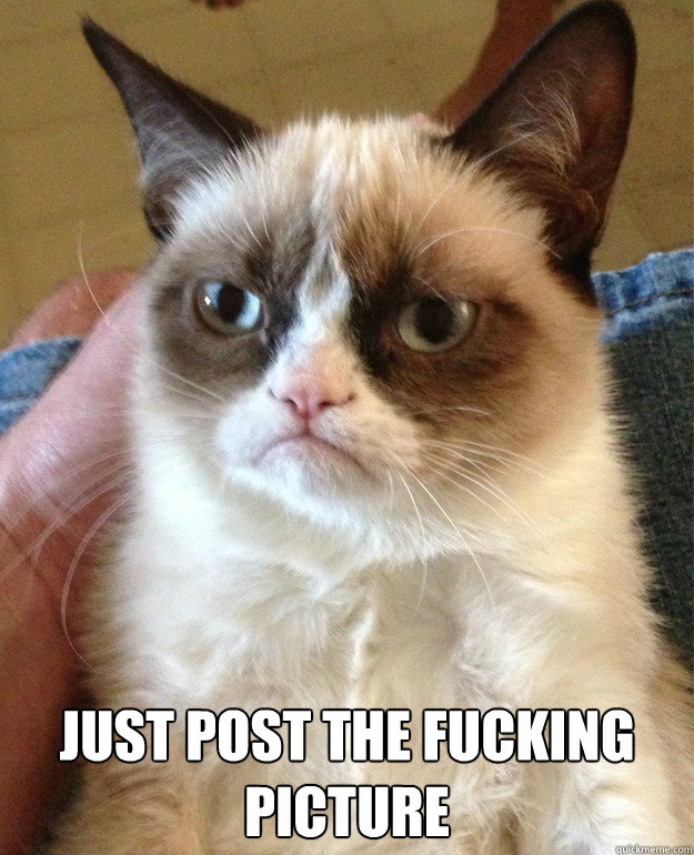 just post the fucking picture - Grumpy Cat