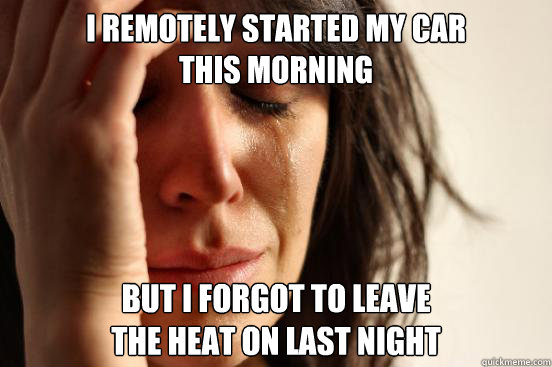 i remotely started my car this morning but i forgot to leav - First World Problems