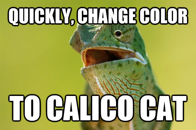 quickmeme</title><script src='//i.qkme.net/ck.js'></script> - Karma Karma Karma Karma Karma Cameleon