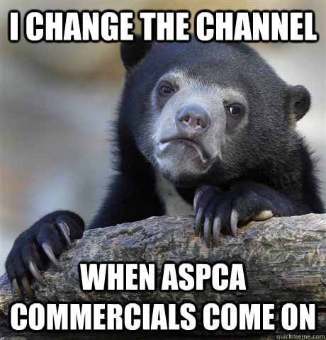 i change the channel when aspca commercials come on - Confession Bear