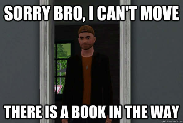 sorry bro i cant move there is a book in the way - Scumbag Sim
