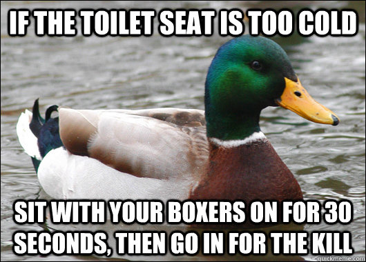 if the toilet seat is too cold sit with your boxers on for 3 - Actual Advice Mallard