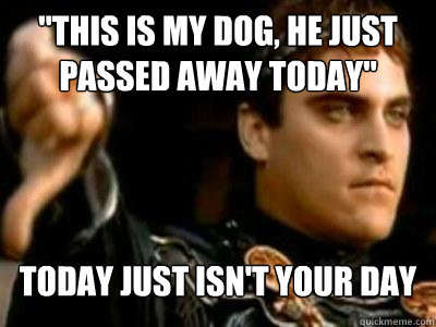 this is my dog he just passed away today today just isnt - Downvoting Roman