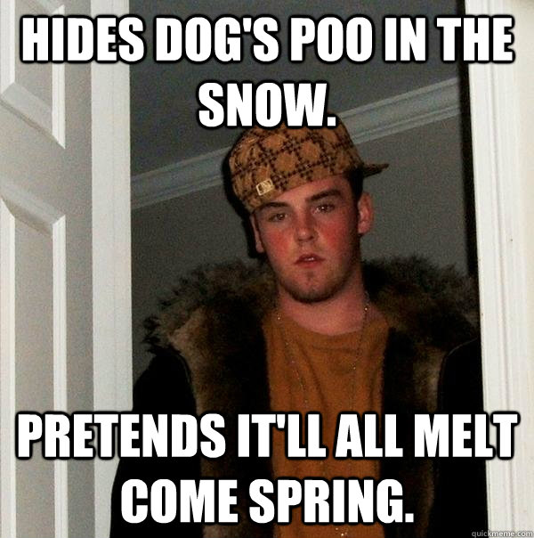 hides dogs poo in the snow pretends itll all melt come sp - Scumbag Steve