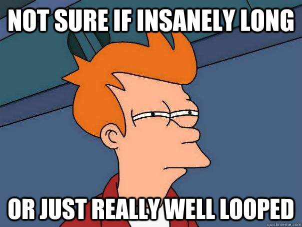 not sure if insanely long or just really well looped - Futurama Fry