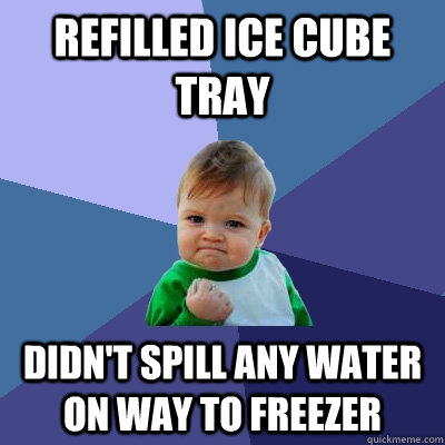 refilled ice cube tray didnt spill any water on way to free - Success Kid