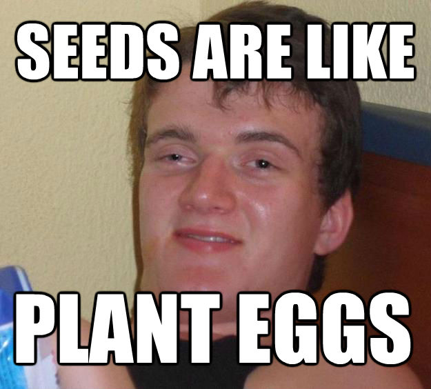 quickmeme</title><script src='//i.qkme.net/ck.js'></script> - 10 Guy