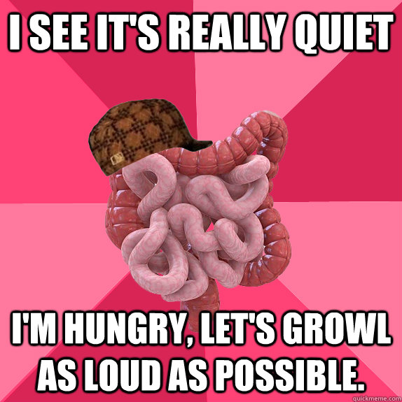 i see its really quiet im hungry lets growl as loud as p - Scumbag Intestines