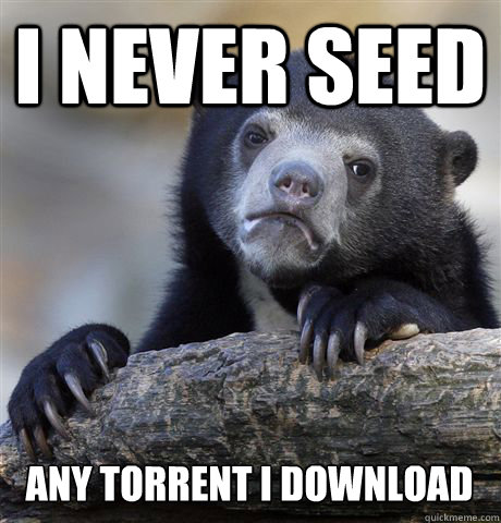 i never seed any torrent i download - Confession Bear