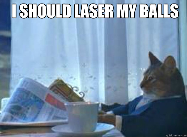 i should laser my balls - I should buy a boat cat