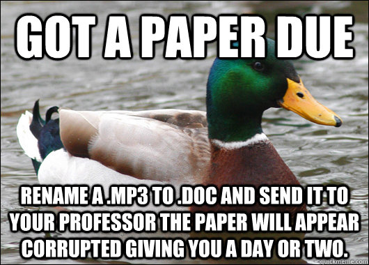 got a paper due rename a mp3 to doc and send it to your pr - Actual Advice Mallard