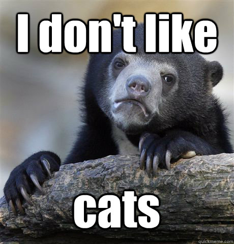 i dont like cats - Confession Bear